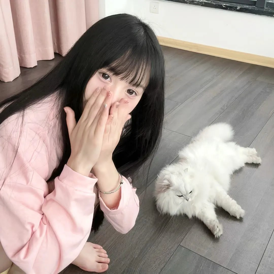 今日份的散步